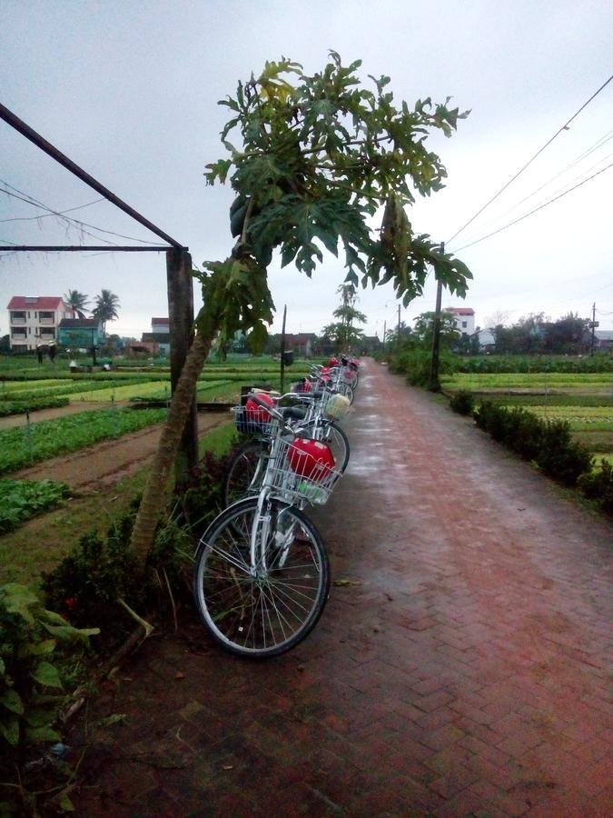 An Bang Beach Town Homestay Hoi An Exterior photo